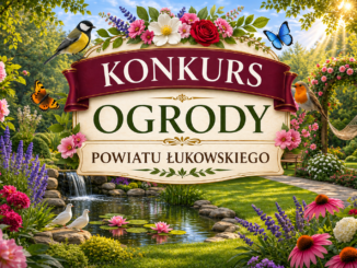 konkurs
